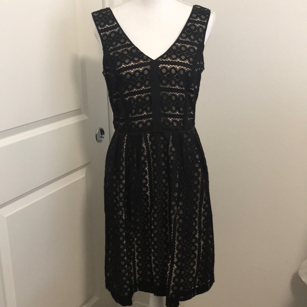 Loft Black Lace Dress